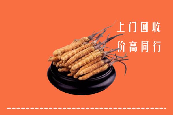 高价求购：恭城县回收散虫草