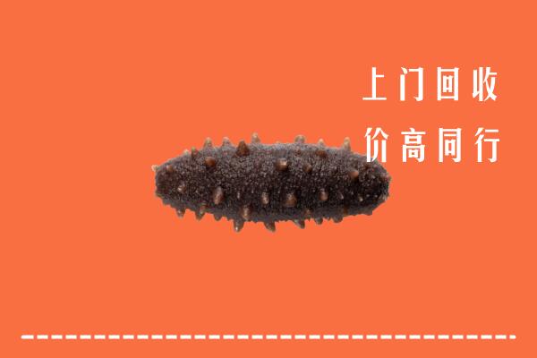 高价求购：恭城县回收海参