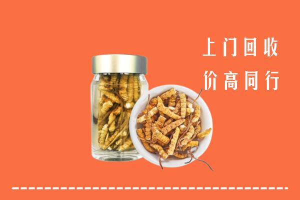 收购行情：恭城县回收冬虫夏草